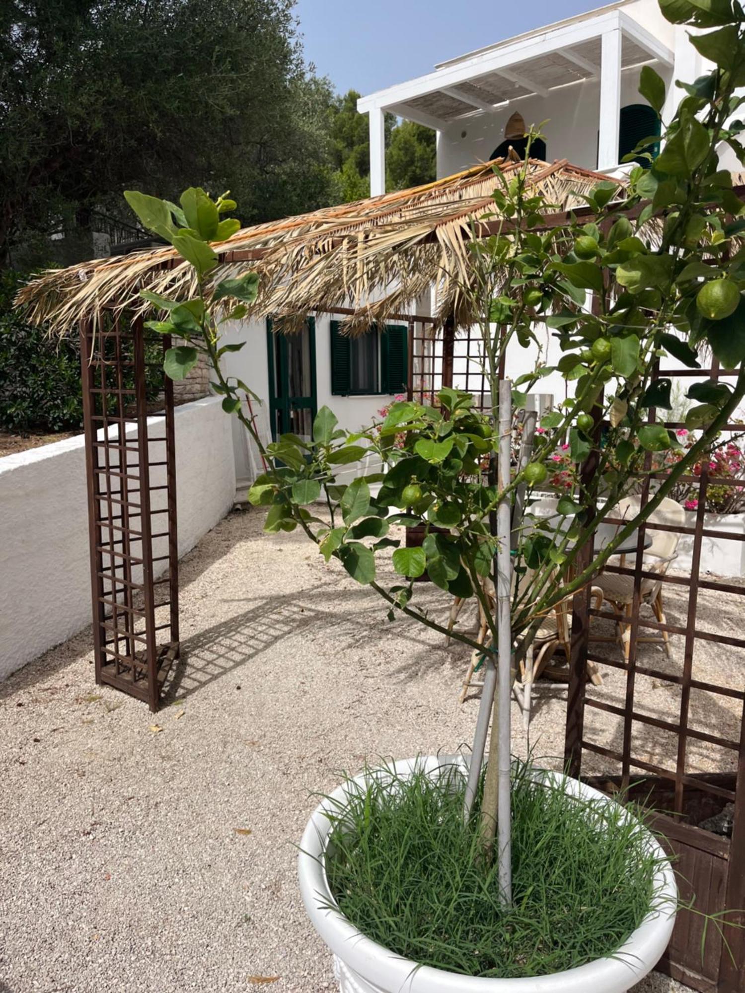 Viestemare Resort & Spa Bagian luar foto